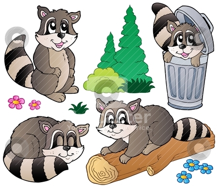Cartoon racoons collection