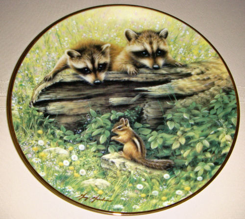 сувенирная тарелка еноты в лесу