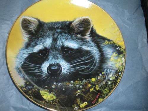 сувенирная тарелка с енотом