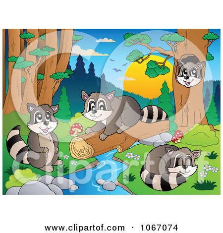 1067074-Clipart-Raccoons-Playing-By-A-Stream-2-Royalty-Free-Vector-Illustration