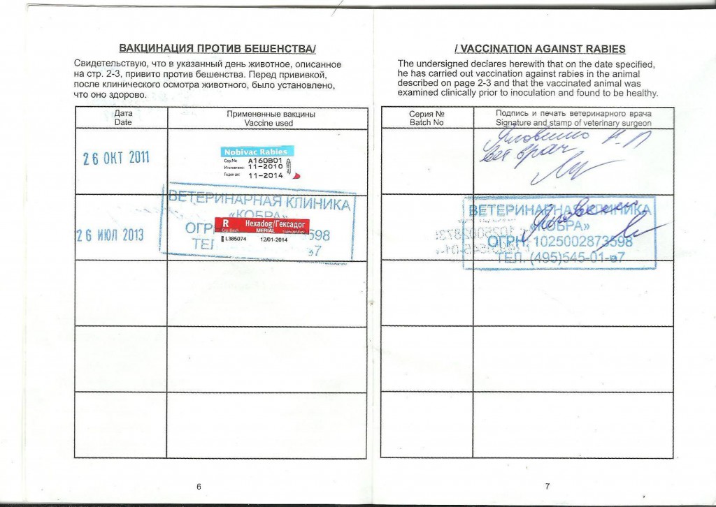 Вет паспорт стр.3