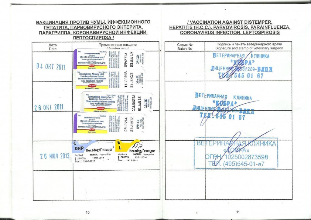 Вет паспорт стр.4