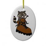 funny_raccoon_in_hiking_boot_ornaments-r2ae16a9fcc044965ae4d58b7a5bab067_x7s2o_8byvr_324