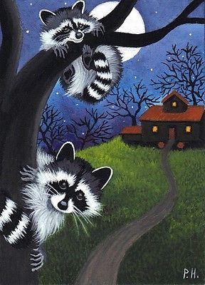 рисунок енот на дереве