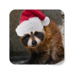 merry_raccoon_christmas_sticker-rf9a8922936684945a592bf047d0a23a9_v9wf3_8byvr_324