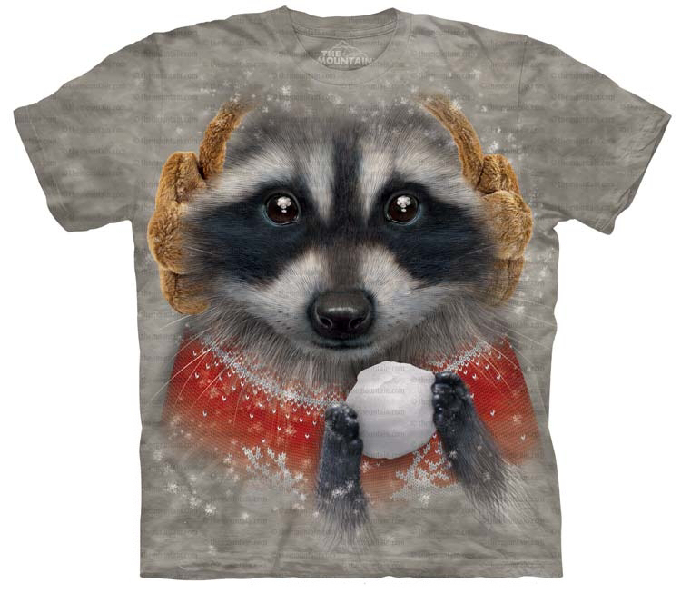 raccoon