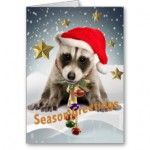 raccoon_baby_xmas_season_greetings_2_cards-rbd40e4bbd5224e948c7bd107413bdb42_xvuat_8byvr_324