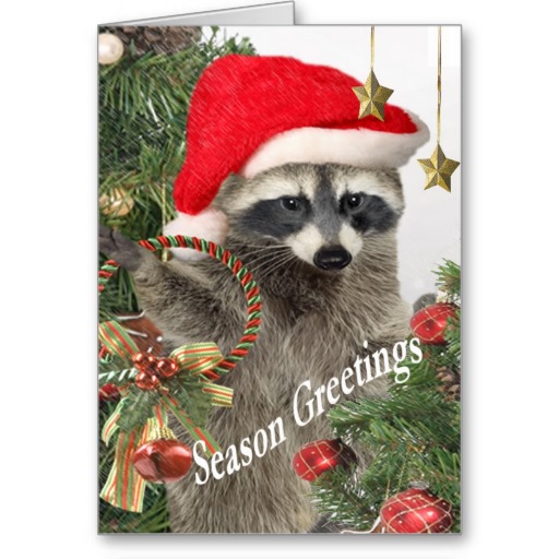 raccoon_christma_a_time_for_fun_cards-r8975d416a4da4f55b871dd55b304a563_xvuat_8byvr_512
