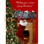 raccoon_christmas_cards_pk_of_10