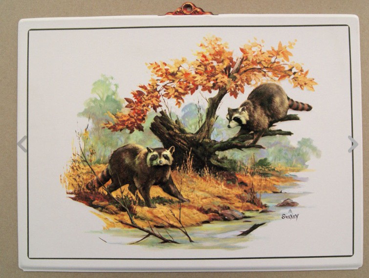 енот полоскун