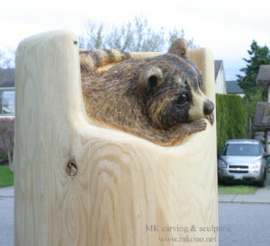 raccoon2013_carving_angle