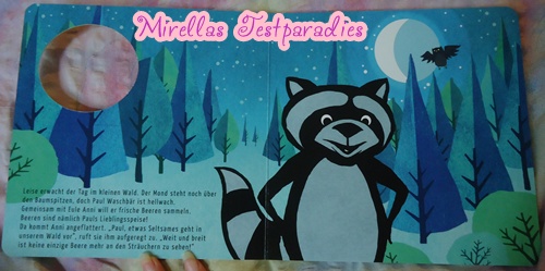 с айпада 2655