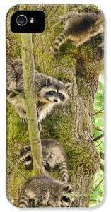 2-raccoon-family-jennie-marie-schell