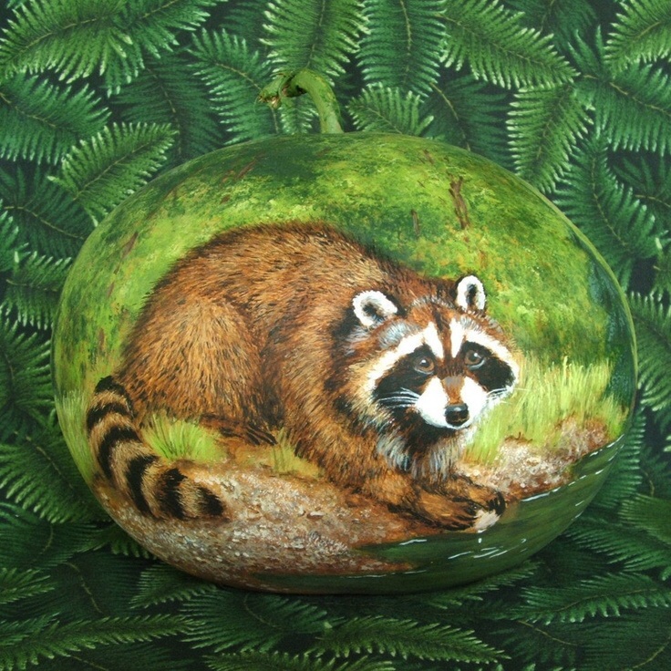 щенки енота, купить енота, купить енота полоскуна, малыши еноты, еноты в Москве, енот - полоскун, енот нарисованный