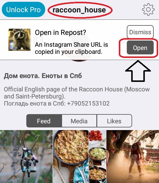 Как в инстаграме сделать репост с текстом в Как в инстаграме сделать репост с текстом в